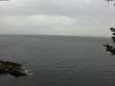 ./images/koeye/fitz-hugh/20180923/fitz-hugh20180923_155501.jpg