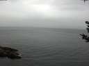 ./images/koeye/fitz-hugh/20180923/fitz-hugh20180923_160501.jpg