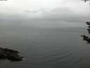 ./images/koeye/fitz-hugh/20180923/fitz-hugh20180923_161501.jpg