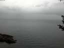./images/koeye/fitz-hugh/20180923/fitz-hugh20180923_162001.jpg