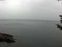 ./images/koeye/fitz-hugh/20180923/fitz-hugh20180923_163502.jpg