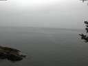 ./images/koeye/fitz-hugh/20180923/fitz-hugh20180923_165501.jpg
