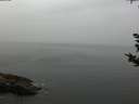 ./images/koeye/fitz-hugh/20180923/fitz-hugh20180923_170502.jpg