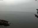 ./images/koeye/fitz-hugh/20180923/fitz-hugh20180923_171002.jpg