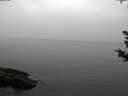 ./images/koeye/fitz-hugh/20180923/fitz-hugh20180923_172002.jpg