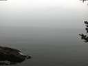 ./images/koeye/fitz-hugh/20180923/fitz-hugh20180923_174502.jpg