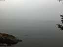 ./images/koeye/fitz-hugh/20180923/fitz-hugh20180923_175002.jpg