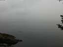 ./images/koeye/fitz-hugh/20180923/fitz-hugh20180923_175501.jpg