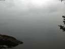./images/koeye/fitz-hugh/20180923/fitz-hugh20180923_180001.jpg