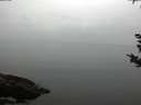 ./images/koeye/fitz-hugh/20180923/fitz-hugh20180923_180501.jpg