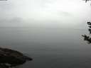 ./images/koeye/fitz-hugh/20180923/fitz-hugh20180923_181001.jpg