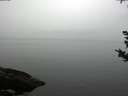./images/koeye/fitz-hugh/20180923/fitz-hugh20180923_181501.jpg