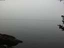 ./images/koeye/fitz-hugh/20180923/fitz-hugh20180923_182001.jpg