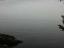./images/koeye/fitz-hugh/20180923/fitz-hugh20180923_182501.jpg