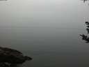 ./images/koeye/fitz-hugh/20180923/fitz-hugh20180923_184001.jpg