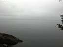 ./images/koeye/fitz-hugh/20180923/fitz-hugh20180923_184501.jpg