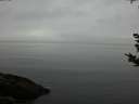 ./images/koeye/fitz-hugh/20180923/fitz-hugh20180923_185001.jpg