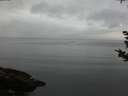 ./images/koeye/fitz-hugh/20180923/fitz-hugh20180923_191001.jpg