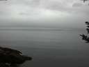 ./images/koeye/fitz-hugh/20180923/fitz-hugh20180923_192001.jpg