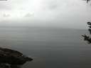 ./images/koeye/fitz-hugh/20180923/fitz-hugh20180923_192501.jpg