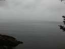 ./images/koeye/fitz-hugh/20180923/fitz-hugh20180923_193501.jpg