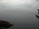 ./images/koeye/fitz-hugh/20180923/fitz-hugh20180923_194501.jpg