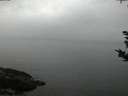 ./images/koeye/fitz-hugh/20180923/fitz-hugh20180923_195502.jpg