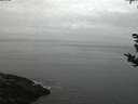 ./images/koeye/fitz-hugh/20180924/fitz-hugh20180924_064502.jpg