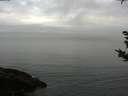 ./images/koeye/fitz-hugh/20180924/fitz-hugh20180924_080502.jpg