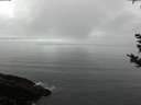 ./images/koeye/fitz-hugh/20180924/fitz-hugh20180924_082501.jpg