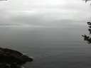 ./images/koeye/fitz-hugh/20180924/fitz-hugh20180924_083501.jpg