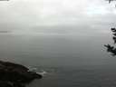 ./images/koeye/fitz-hugh/20180924/fitz-hugh20180924_084001.jpg
