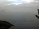./images/koeye/fitz-hugh/20180924/fitz-hugh20180924_084501.jpg