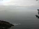 ./images/koeye/fitz-hugh/20180924/fitz-hugh20180924_085001.jpg