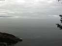 ./images/koeye/fitz-hugh/20180924/fitz-hugh20180924_091001.jpg