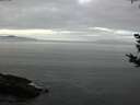 ./images/koeye/fitz-hugh/20180924/fitz-hugh20180924_093501.jpg