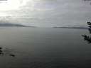 ./images/koeye/fitz-hugh/20180924/fitz-hugh20180924_130502.jpg