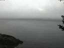 ./images/koeye/fitz-hugh/20180925/fitz-hugh20180925_064502.jpg