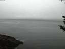 ./images/koeye/fitz-hugh/20180925/fitz-hugh20180925_065002.jpg