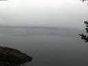 ./images/koeye/fitz-hugh/20180925/fitz-hugh20180925_071002.jpg