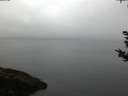 ./images/koeye/fitz-hugh/20180925/fitz-hugh20180925_072002.jpg