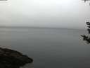 ./images/koeye/fitz-hugh/20180925/fitz-hugh20180925_072502.jpg