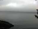 ./images/koeye/fitz-hugh/20180925/fitz-hugh20180925_080501.jpg