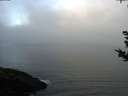 ./images/koeye/fitz-hugh/20180925/fitz-hugh20180925_082001.jpg