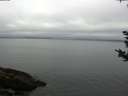 ./images/koeye/fitz-hugh/20180925/fitz-hugh20180925_094001.jpg