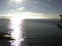 ./images/koeye/fitz-hugh/20180925/fitz-hugh20180925_164502.jpg