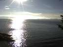 ./images/koeye/fitz-hugh/20180925/fitz-hugh20180925_165002.jpg