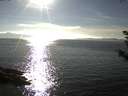 ./images/koeye/fitz-hugh/20180925/fitz-hugh20180925_165502.jpg