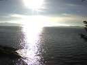 ./images/koeye/fitz-hugh/20180925/fitz-hugh20180925_171001.jpg