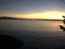 ./images/koeye/fitz-hugh/20180925/fitz-hugh20180925_195002.jpg